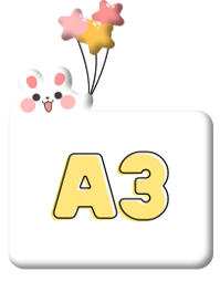 A3